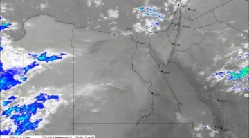 الأرصاد تحذر من الشبورة.. أمطار متفاوتة الشدة على محافظات الشمال والدلتا